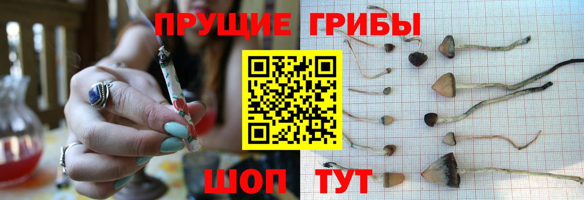 Псилоцибиновые грибы ЛСД  Вход с VPN  Галлюциногенные грибы Psilocybine cubensis  где продают наркотики  Анжеро-Судженск 