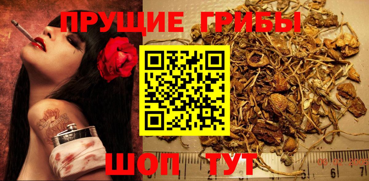 Галлюциногенные грибы мицелий Анжеро-Судженск